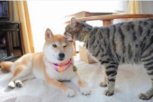 外出は寒さ対策を(´▽｀)～　　 画像3