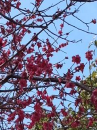 休日満喫中