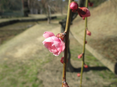 no title 画像3