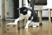 3勝9敗…→ 画像3