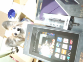 ☆買っちゃった(^-^)☆ 画像1