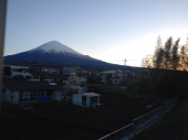 清々しい 画像1