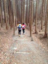 プチマラニック２ 画像2