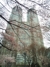 都庁ＲＵＮ 画像2