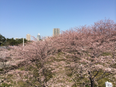 はけるスカートが…無い…>_<… 画像2
