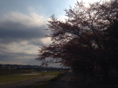 no title 画像1