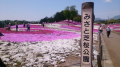 箕郷芝桜公園