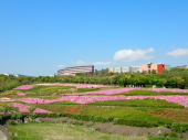 ブルー 画像1