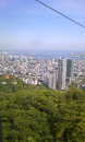 大漁大漁♪