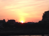 抹茶　好き♪ 画像1