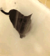疲れた…↓ 画像3