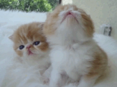休みだ～♪…↑ 画像2