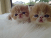 休みだ～♪…↑ 画像3