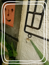 ☆今夜はたこパー( ^o^)ﾉ 画像1