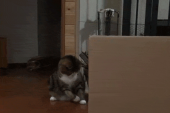 飲みすぎたぁ（＠＠；…↑ 画像2