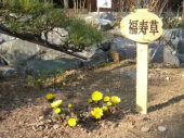 健康生活(02/22晴） 画像1