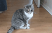バタンキュー…↑ 画像3