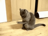 減った♪…↓ 画像1