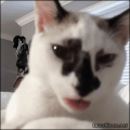 朝から仕事っす…→