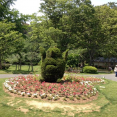 花を見に行く 画像3