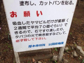 雑感（本気編） 画像2