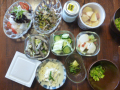 okko30 シンクロ練習日
