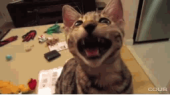 昼間から本降り(´･_･`)。 画像2