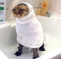 雨凄過ぎ（＠＠；…↓