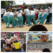 高校体育祭 画像2