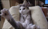 よう降りますわ…↑ 画像2