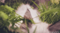 早寝早起き♪…↑