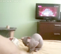 晴れてますなぁ…↓