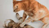 晴れてますなぁ…↓ 画像2