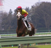 運動解禁 画像1