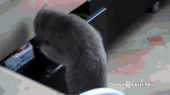 復帰～♪…↑ 画像2