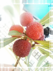 ☆貯めたいもの＆溜めなくても良いもの…(笑) 画像2
