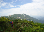 途中撤退② 画像2