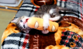 このドラマ…↓ 画像3