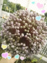 ☆WAKUWAKUさせてよー♪