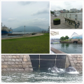 日帰り弾丸ツアー♪