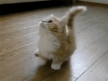 飲んだ♪…↑