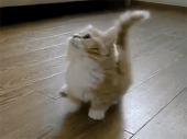 飲んだ♪…↑ 画像1