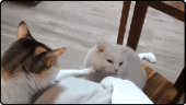みなさ～～ん…↓ 画像2