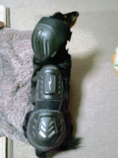 久しぶりのバイク通勤 画像2