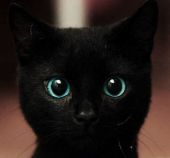 ワールドカップ 画像2