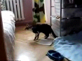 今日も仕事…↓