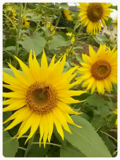 ☆誰もいない日曜日～♪ 画像1