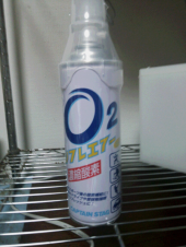 お魚たち2014 画像3