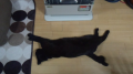 じゃじゃ5歳
