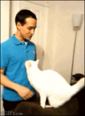 危機脱出…↓ 画像3